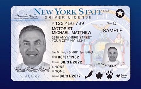 Driver license sample